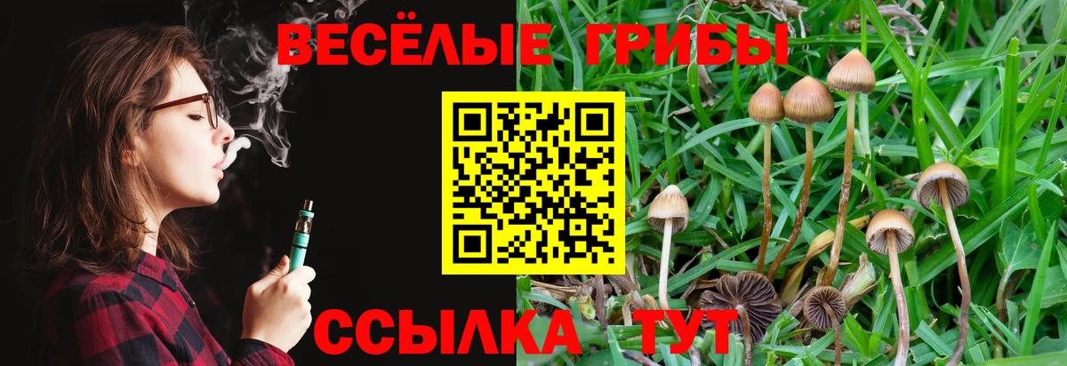 Псилоцибиновые грибы Magic Shrooms Алушта