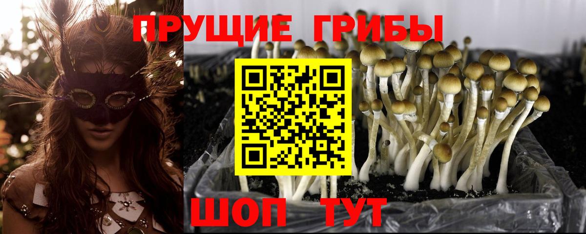 Псилоцибиновые грибы Magic Shrooms  Вход с VPN  что такое   Галлюциногенные грибы ЛСД  Алушта 